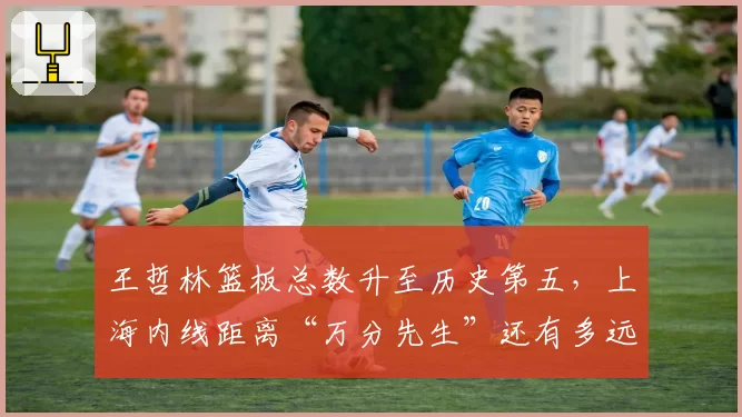 王哲林篮板总数升至历史第五,上海内线距离“万分先生”还有多远?