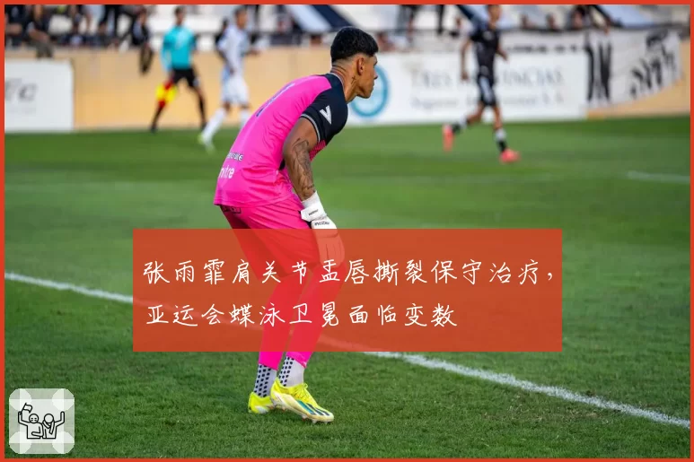 张雨霏肩关节盂唇撕裂保守治疗,亚运会蝶泳卫冕面临变数