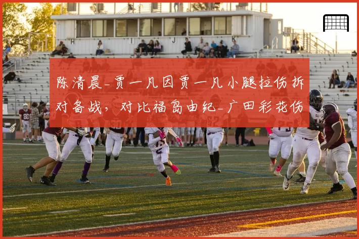 陈清晨_贾一凡因贾一凡小腿拉伤拆对备战，对比福岛由纪_广田彩花伤愈后重组搭档效果